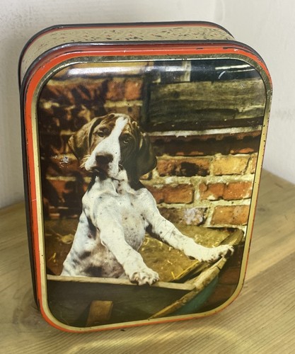 Cute cocker spaniel puppy - cocker,