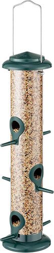 Iborn metal bird - bird, feeders