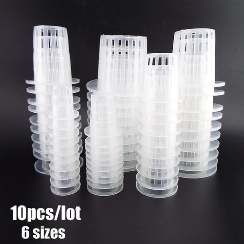 10x hydroponic colonization - 10x,
