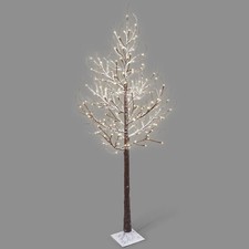 6ft 5ft birch - birch, with