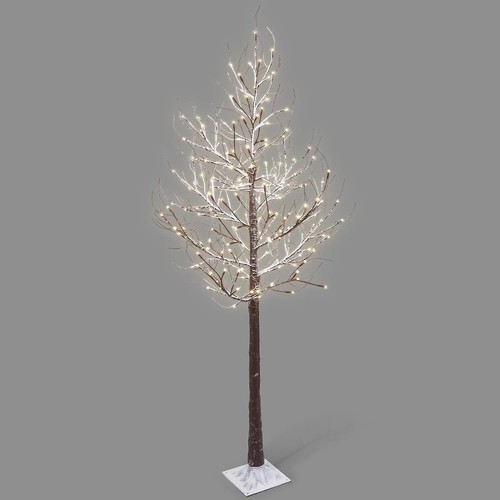 6ft 5ft birch twig tree - twig,
