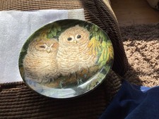 Wedgewood The Baby Owls Tawny Owl Chicks Collectors Plate By Dick Twinney