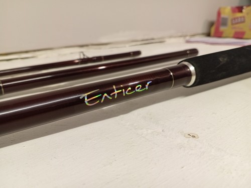 Abu garcia enticer pike - enticer,