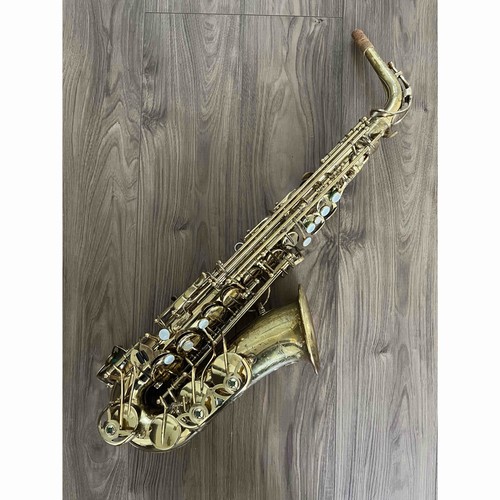 Yanagisawa elimona 800 alto - yanagisawa,