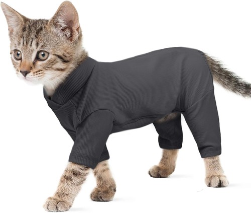 Cat sweater suit - cat,