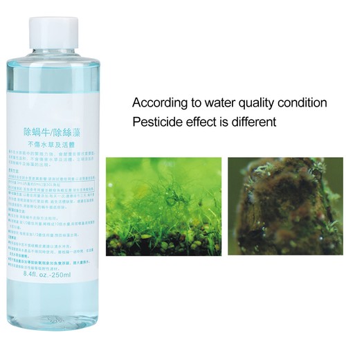 Aquarium snail kill agent - snail,