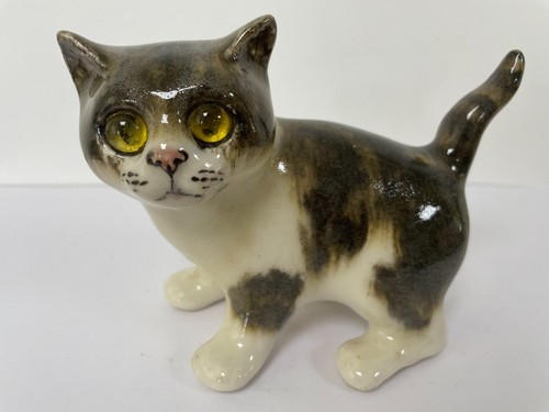 Winstanley brown white - brown, cat