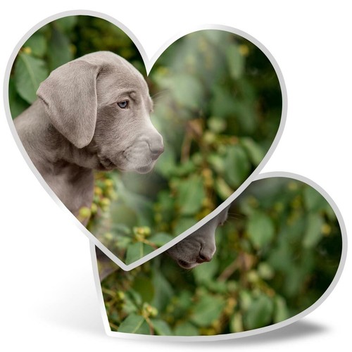 Heart stickers cm - 2,