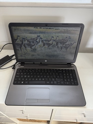 Pavilion 255 laptop - hp,