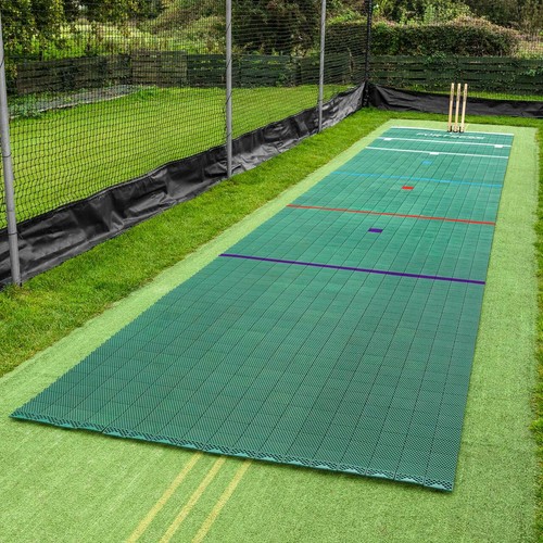 Fortress instant cricket pitch - cricket,