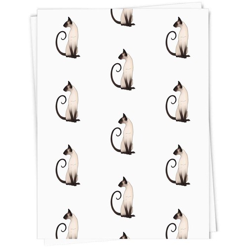 Elegant sitting siamese cat - 'elegant,