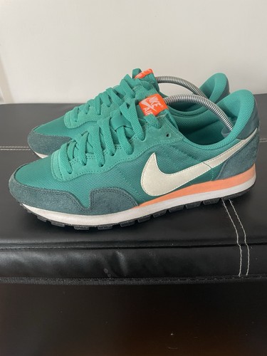Rare 2014 nike - v, pegasus