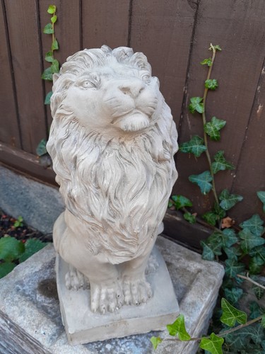 Proud lion stone - proud,