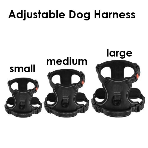 Dog harness pull reflective - dog, no