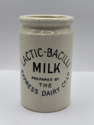 Old rare lactic bacilli milk - old,