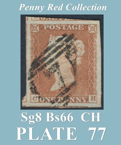 B65 sg8 plate 77 - -, ch