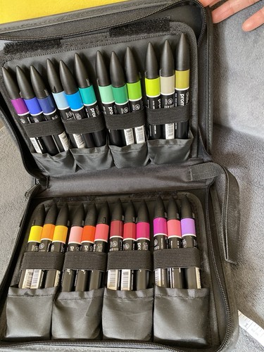 Winsor newton promarker - winsor,