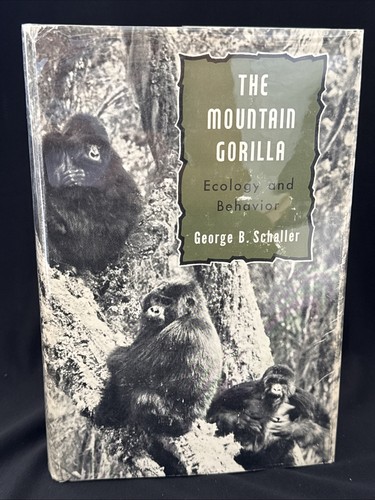 1965 the mountain - mountain, gorilla