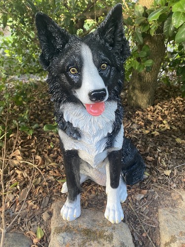 Border collie sitting - border, statue
