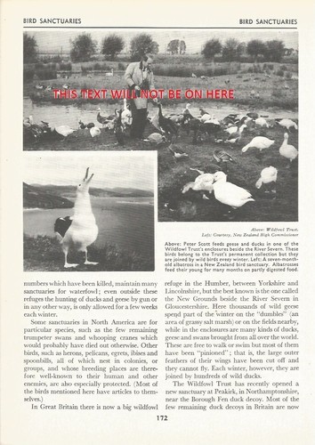 Peter scott wildfowl - ,
