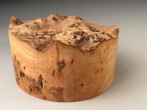 Live edge burr elm resin - edge,
