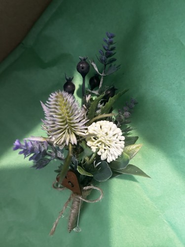 Scottish wild flower thistle - wild,