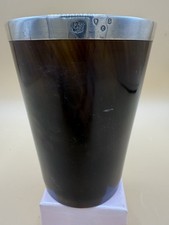 EXQUISITE SILVER rimmed HORN