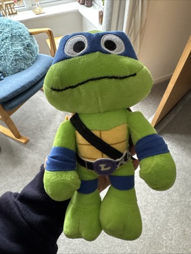 Teenage mutant ninja turtle - teenage,