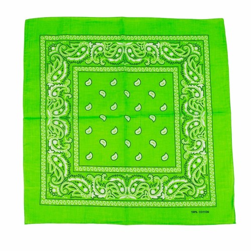 Lime green paisley - lime,