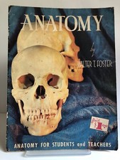 "How to Draw Anatomy: Anatomy