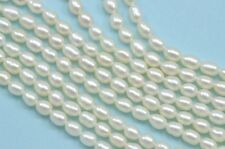 Ivory White Rice Oval Teardrop Freshwater Pearls Beads for Jewellery Making 