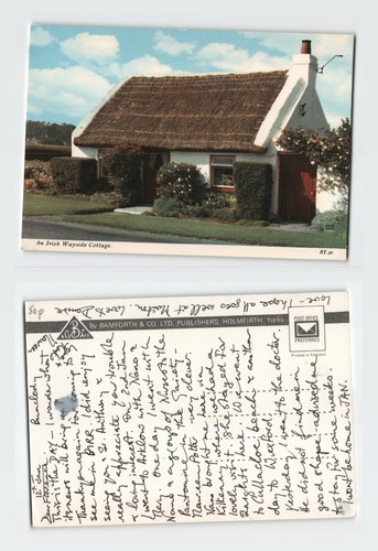 Vintage postcard irish - postcard,