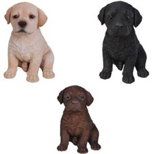 Labrador puppy dog - labrador,