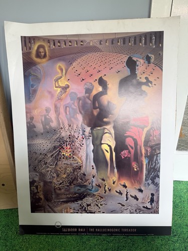 Salvador dali hallucinogenic - salvador,
