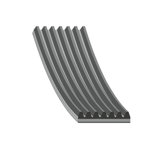 Febi bilstein 176707 ribbed - febi,