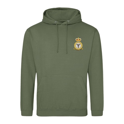 Official raf medical - official, corps
