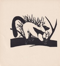 1929 RUFFED LEMUR Print Wood Engraving - Vintage Wall Art - 8 x 7.25 Inches