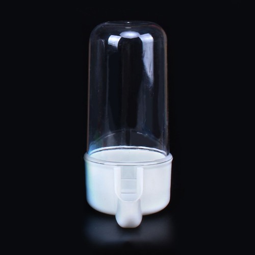 Pet drinker food - pet, feeder