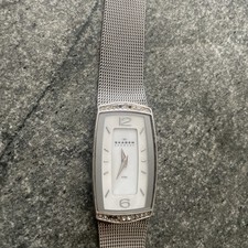Skagen Steel Ladies Rectangle