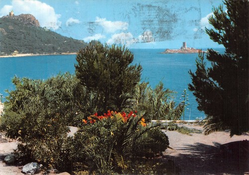 Esterel 4408 c - 83-esterel-n�, 4408-c/0007