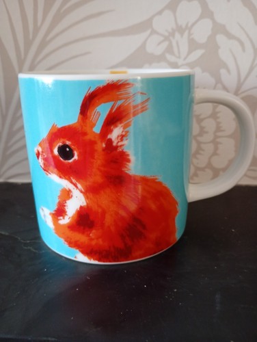 Joules squirrel wild - squirrel.,