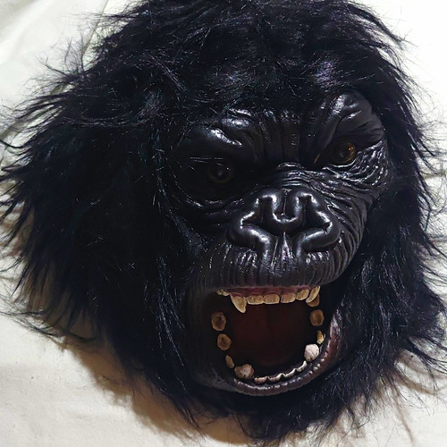 Black gorilla full - full, face