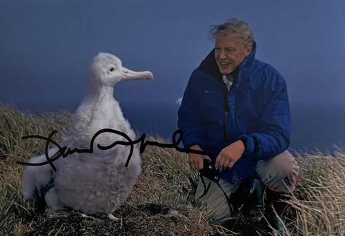 Genuine sir david attenborough - genuine,