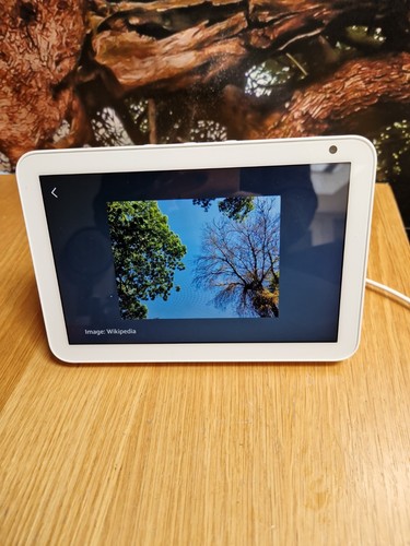 Amazon echo show white - show,