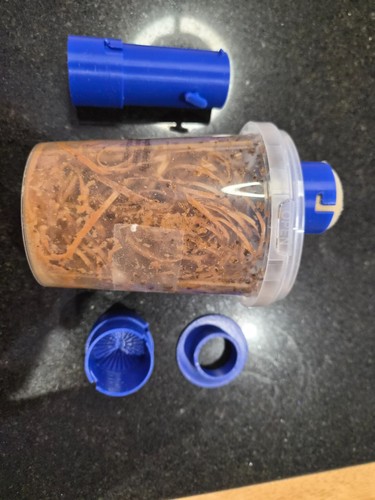 Fruit fly sieve - fruit, feeder