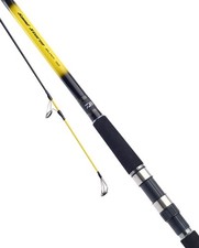 Daiwa Sandstorm Surf Fishing