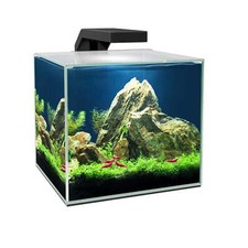 Ciano cube aquarium - 15,