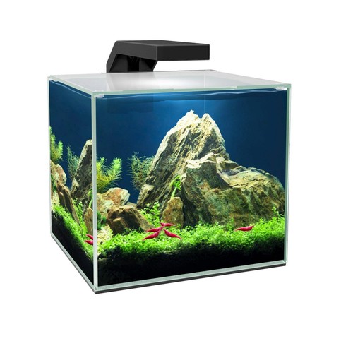 Ciano cube aquarium - cube, 15