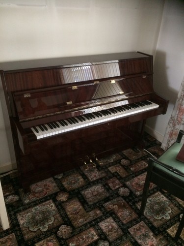 Waldstein upright piano gloss - waldstein, piano,