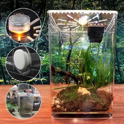 Acrylic clear reptile - clear,